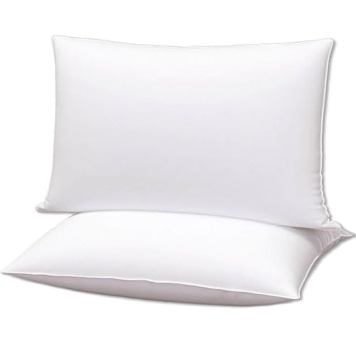 2 King Size Bed Pillows