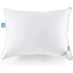 Goose Down Pillow