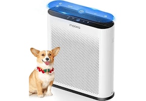 Air Purifier