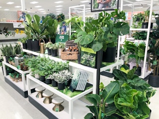 target hilton carter 2021 9 1621016441 1621016441