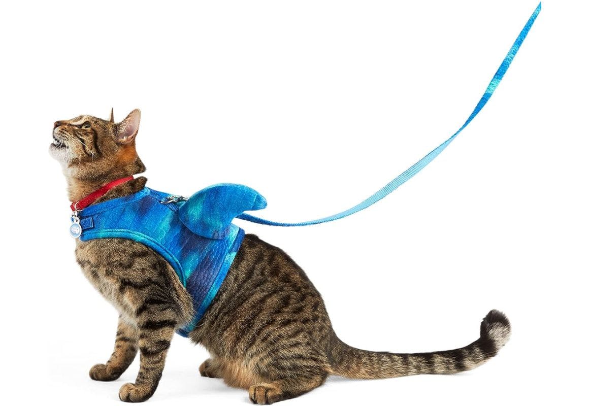 Cat Shark Harness Costume