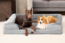 Dogs using the EHEYCIGA Orthopedic Dog Beds Large Sized Dog.