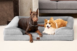 Dogs using the EHEYCIGA Orthopedic Dog Beds Large Sized Dog.