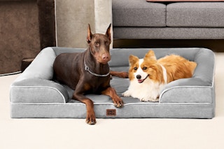 Dogs using the EHEYCIGA Orthopedic Dog Beds Large Sized Dog.