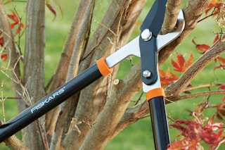 fiskars hand lopper tool cutting a tree