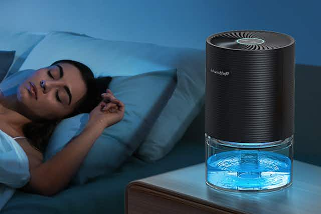 This Room Dehumidifier Is Just $34 on Amazon card image