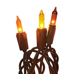 Ashland String Lights