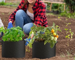 Grow Bag 5-Pack, Now $9.99 on Amazon card image