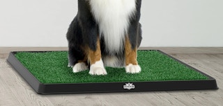 81knyjrjzql ac sl1500 1674058000 1674058000