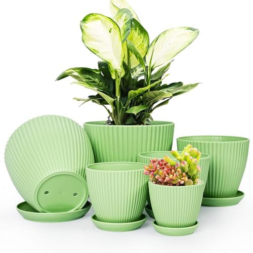 Indoor Plant Pots With Saucers