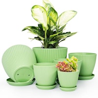 Indoor Plant Pots With Saucers
