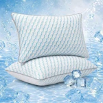 Bed Pillows