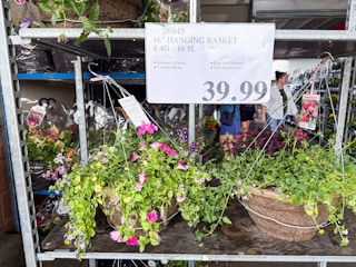 costco-plants-hanging-basket-16-inch