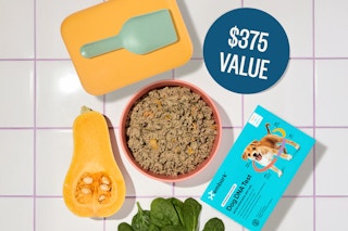 ollie free dog dna test ft