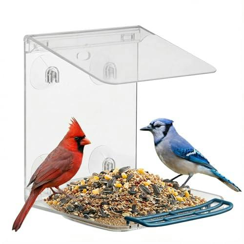 Window Bird Feeder
