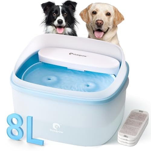 Dog Water Fountain