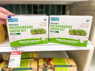 back to the roots organic grow kits sitting on a target shelf