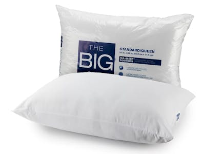 The Big One Pillow