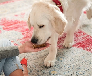 A woman feeding her dog Milk-Bone dog biscuits.