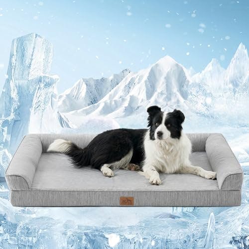 Cooling Dog Bed