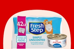 petsmart fresh step cat litter and royal canin cat food on red and cream background