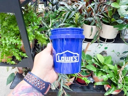 We Found the Lowe's Mini Buckets in Stock card image