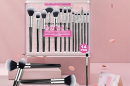 Makeup Brush Set