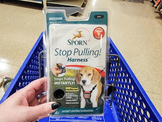 hand holding a dog harness