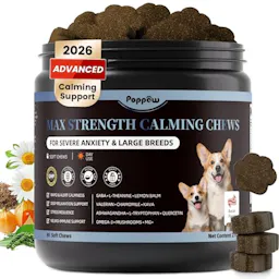 Calming Chews for Dogs