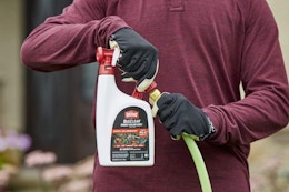 Top-Rated Ortho BugClear Insect Killer, Only $9 on Amazon (10K Sold in April) card image