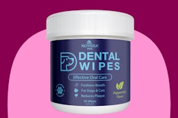 These Pet Dental Wipes Are Just $6 on Amazon for a Limited Time (Reg. $20) card image