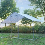 Chicken Coop