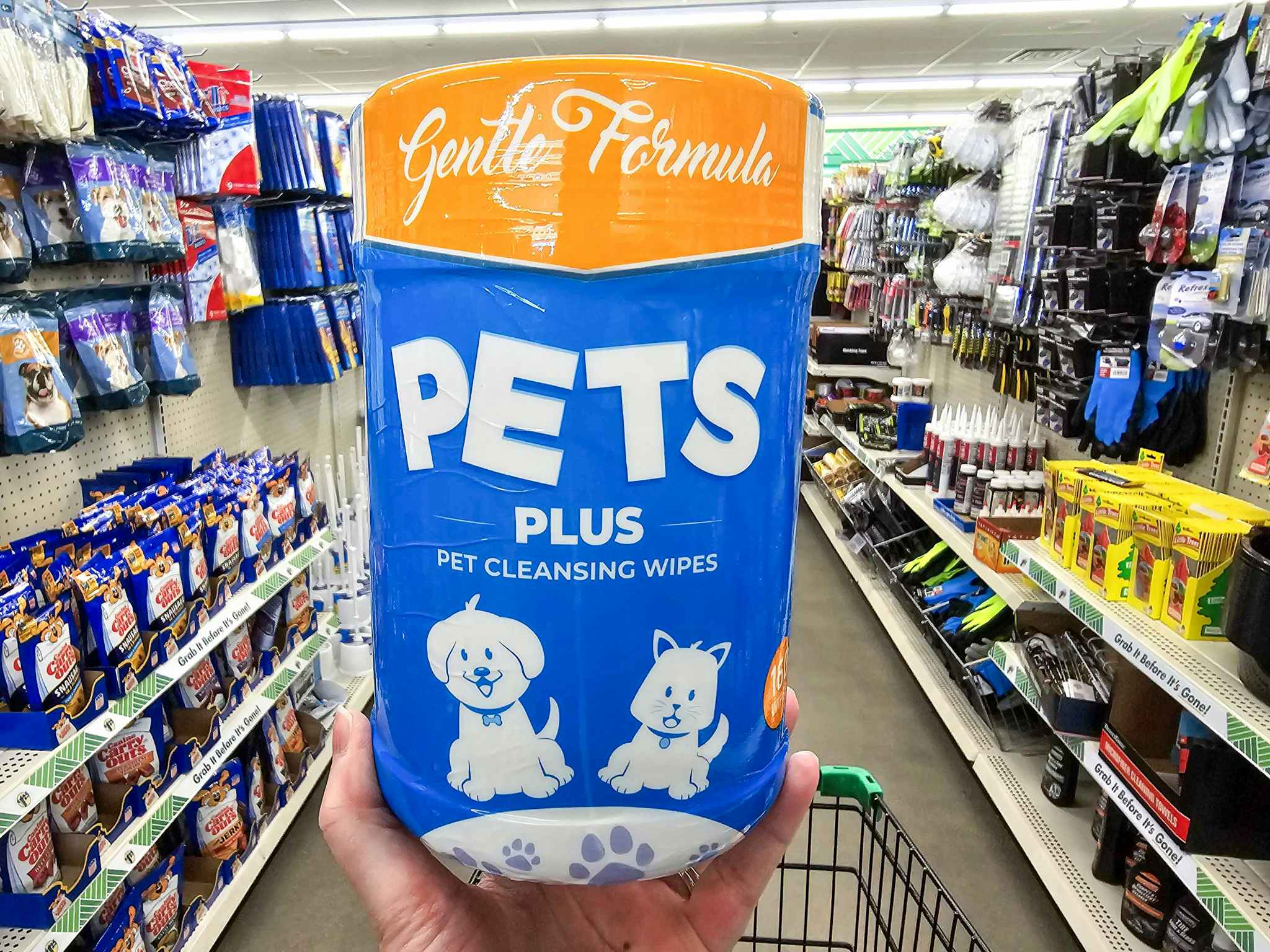 person holding a package of pet cleansing wipes