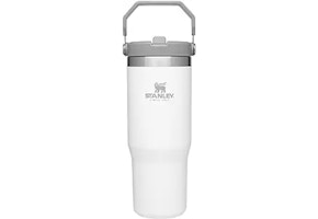 Stanley IceFlow Tumbler