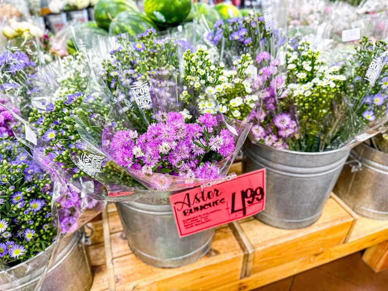 trader-joes-50