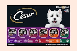 Cesar Wet Dog Food 36-Pack, as Low as $24.37 on Amazon card image