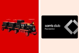 train membership collage