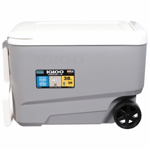 Igloo Cooler
