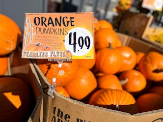 trader joes pumpkin price 20231 1695509155 1695509155