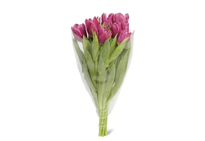 Tulip Bouquet