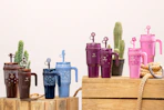 western collection of reduce water bottles