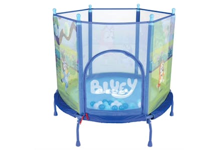Bluey Trampoline