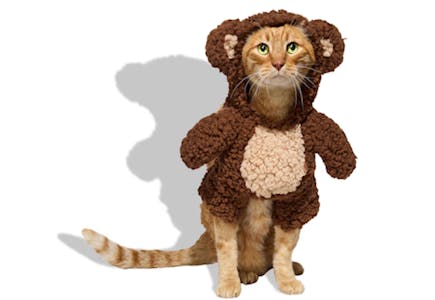 Bootique Bear Pet Costume