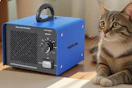 cat laying next to ozone generator