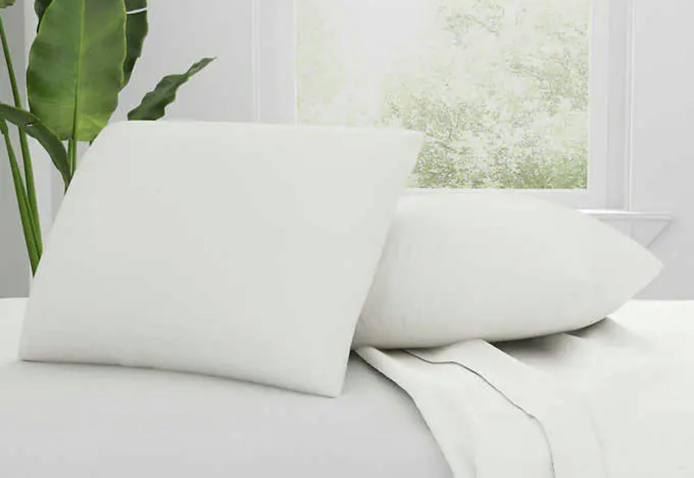 AllerEase Cotton Pillows 2-Pack