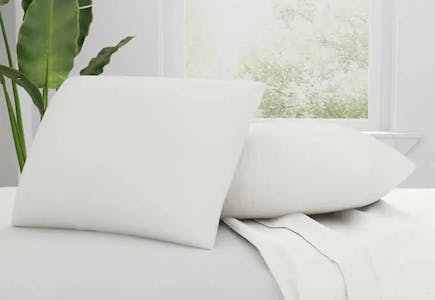 AllerEase Cotton Pillows 2-Pack