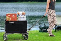 Heavy-Duty Collapsible Wagon Cart, Only $24.59 on Amazon card image