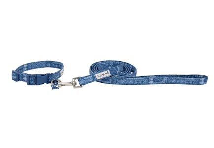 Doggy Parton Leash and Collar Set