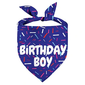 Dog Birthday Bandana