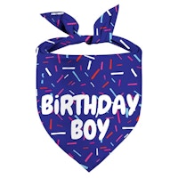 Dog Birthday Bandana